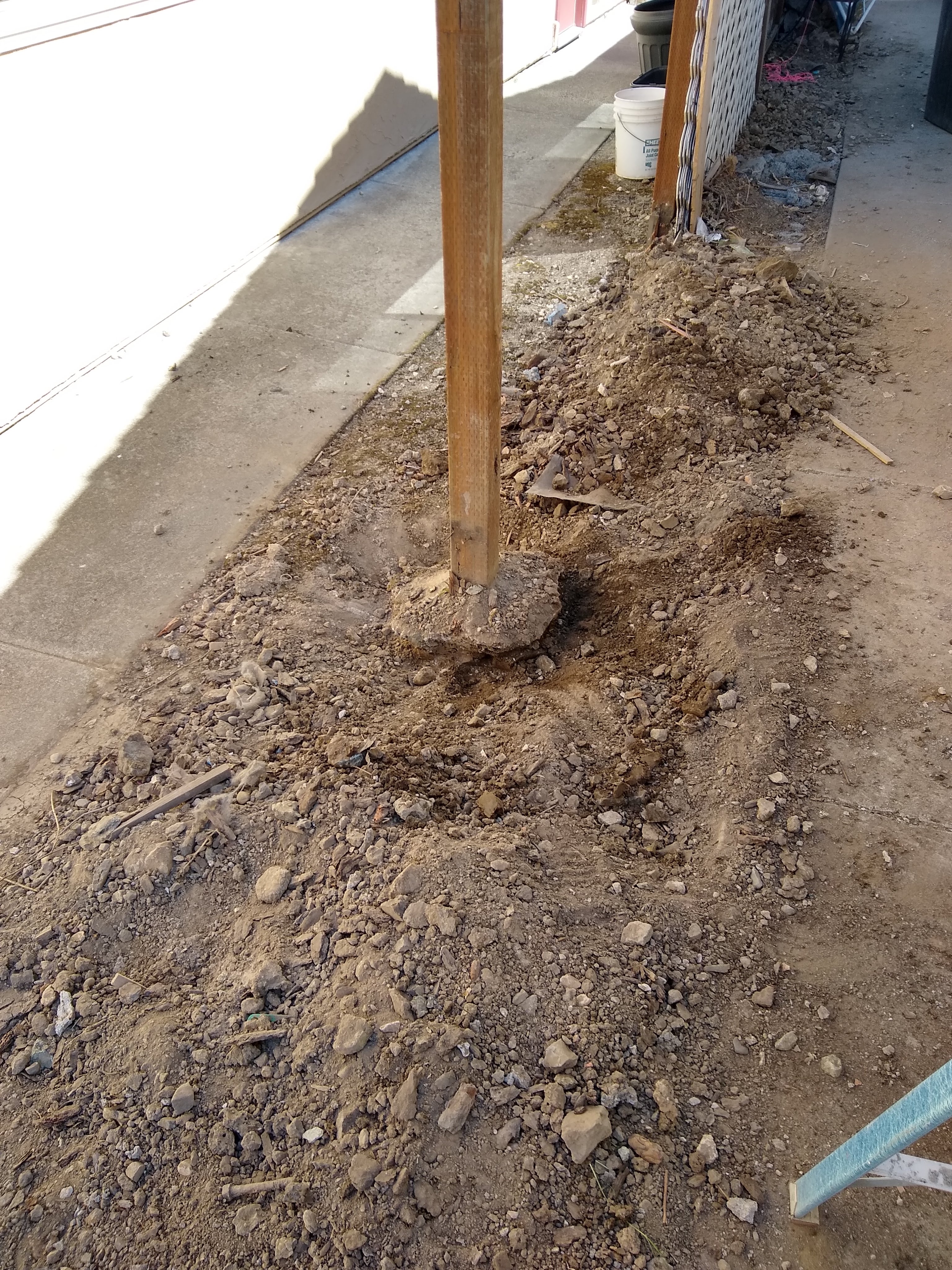 The old rotting fence post set in concrete - exactly what this project aims to improve upon
